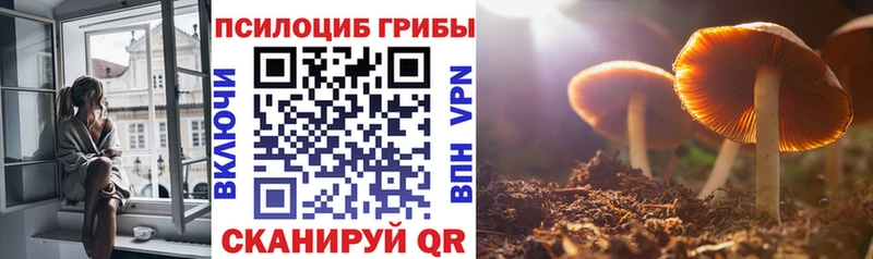 Галлюциногенные грибы Psilocybine cubensis  купить   Пермь 