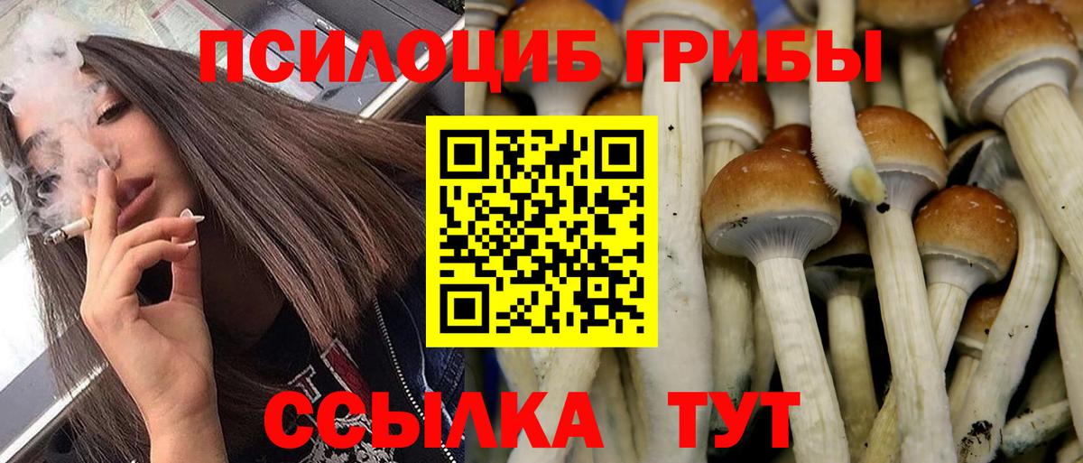 Галлюциногенные грибы Cubensis Пермь